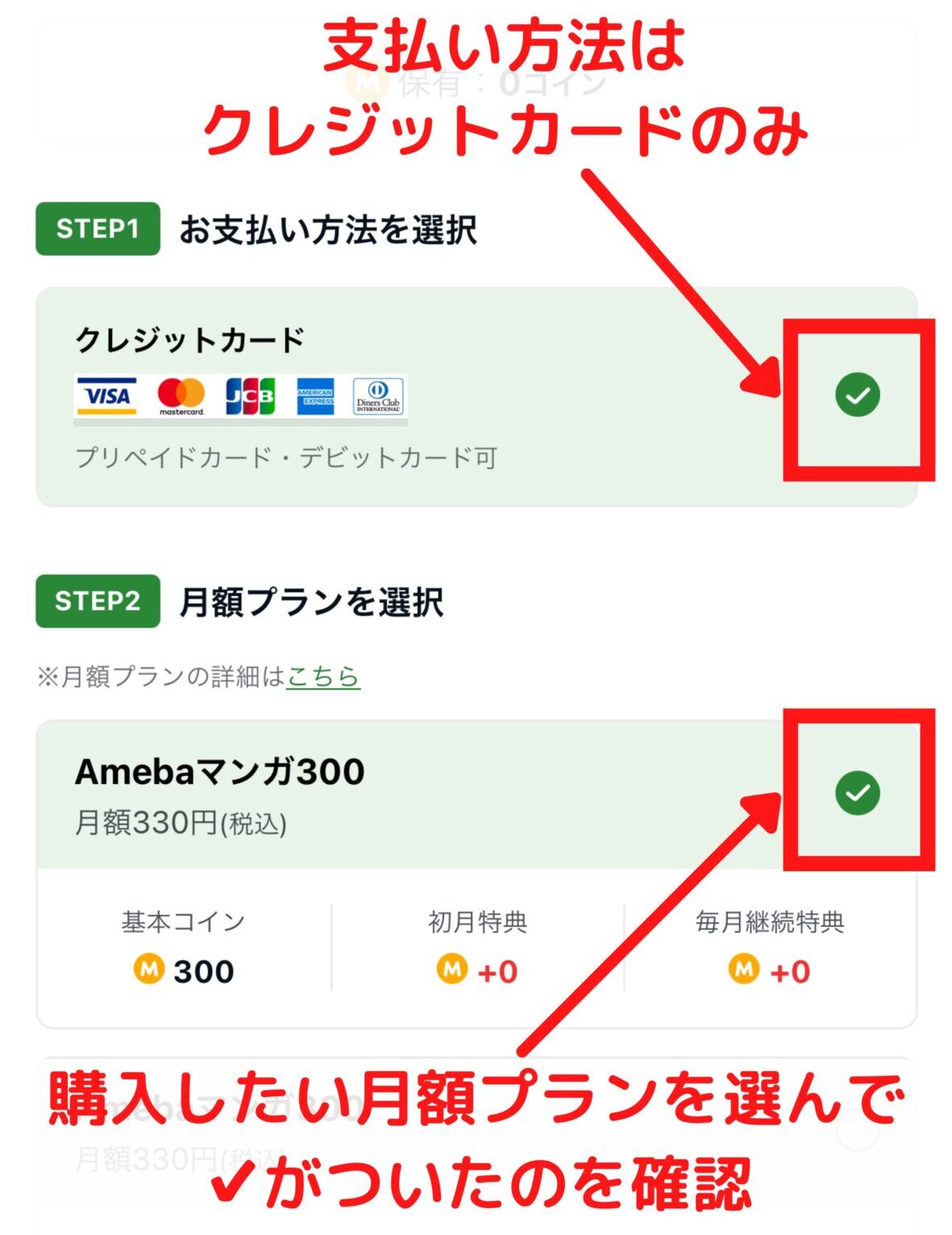 支払いはクレジットのみ、月額プランを選択