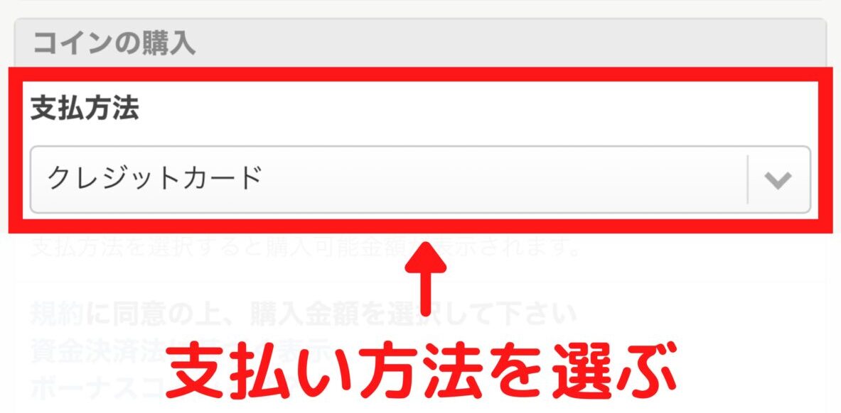 支払い方法を選ぶ